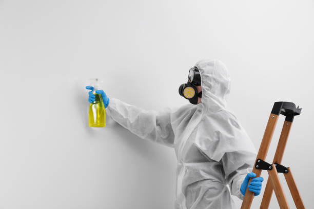 Best Emergency Mold Remediation  in Santa Nella, CA